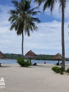  	Badian Island Wellness Resort